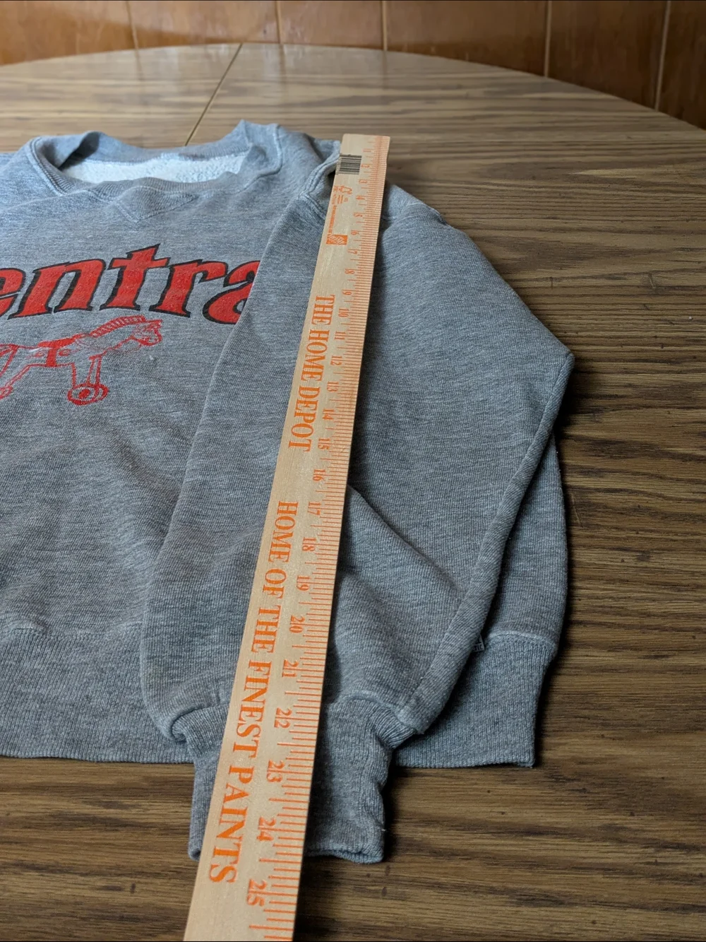 VTG 90s‎ Central Horse Graphic Crewneck - Distressed/Artisan Style 🐎